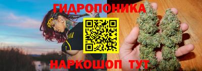 СК Чапаевск