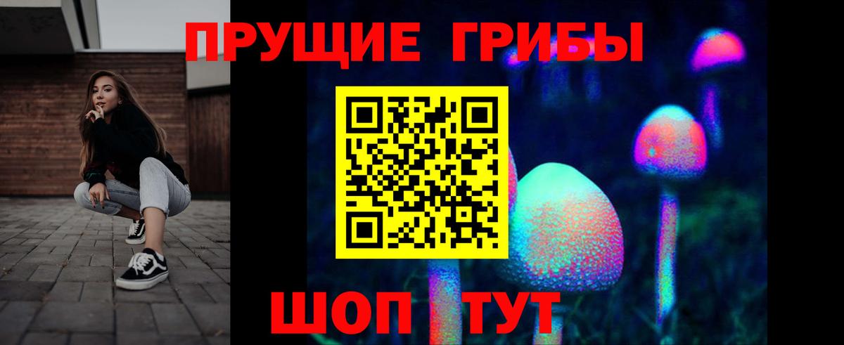 Псилоцибиновые грибы мицелий  Вход с VPN  наркота  Среднеуральск  Псилоцибиновые грибы Magic Shrooms 